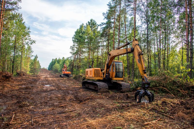 Reduces wildfire fuel load