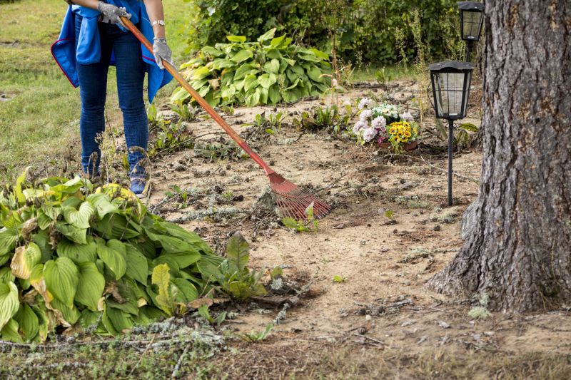 Brush Clearing Service in Gwinnett County, GA