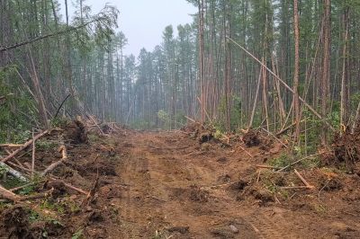 Commercial Land Clearing in Utah County, UT