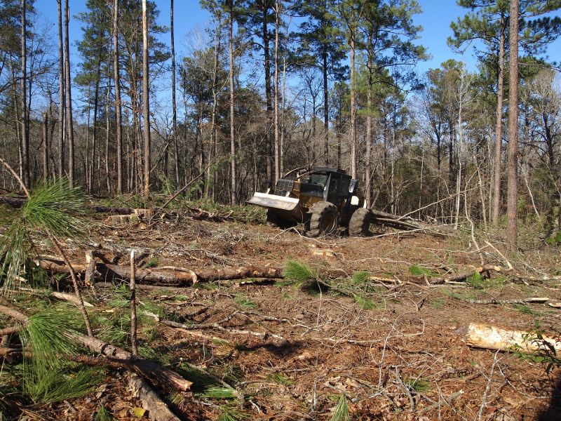 Forest Management Machinery