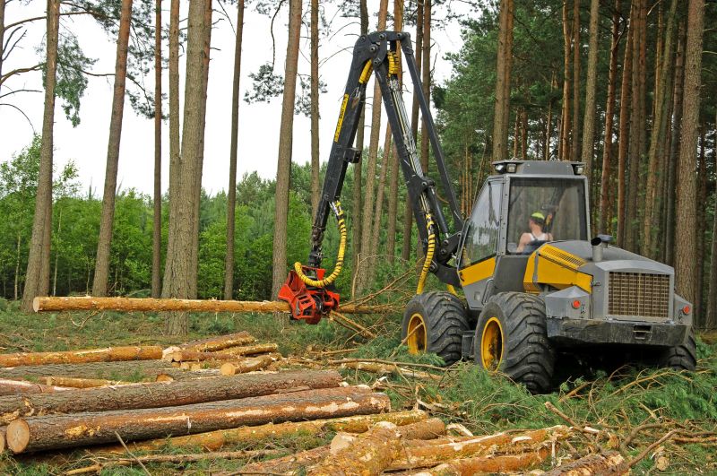Tree Removal Machinery