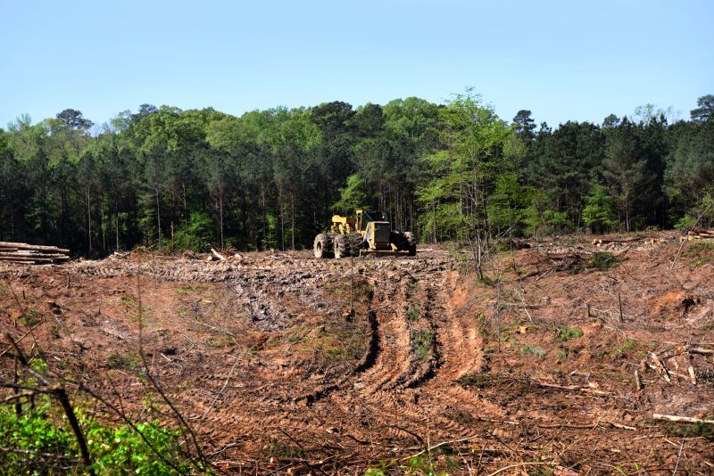 Land Clearing in Houston, TX