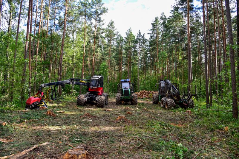 Products For Forestry Thinnings in use
